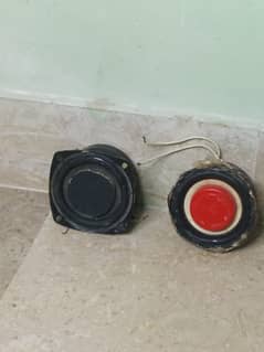Speaker