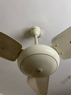 Used
