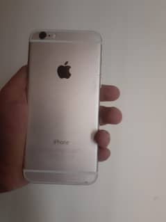WhatsApp number 03165405701