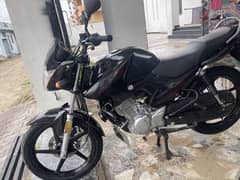 Yamaha YBR