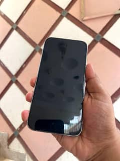 13 Pro Max 256 GB LLA Factory Unlocked (Sim not Active)