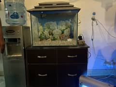 Fish Aquarium