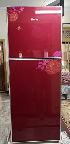 Haier fridge full size