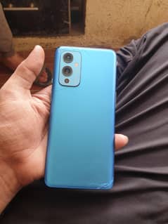 oneplus 9 green line he or crak line just