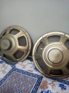 aurex 16 inches woofers