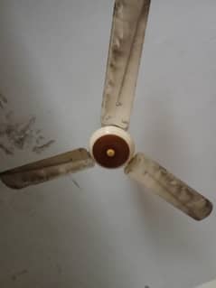 Two Fans