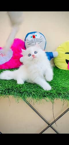 Persian