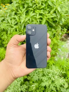 iPhone 12 mini