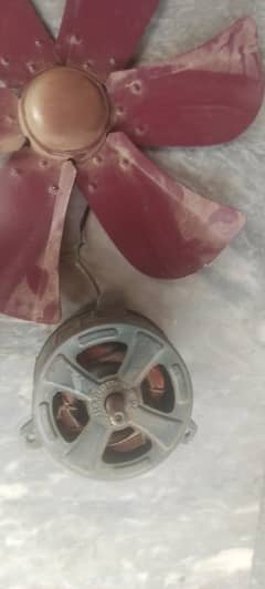 motor , Lahore