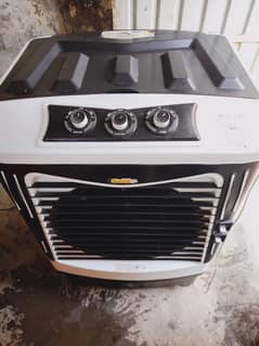 Air cooler