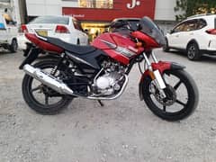 Yamaha ybr