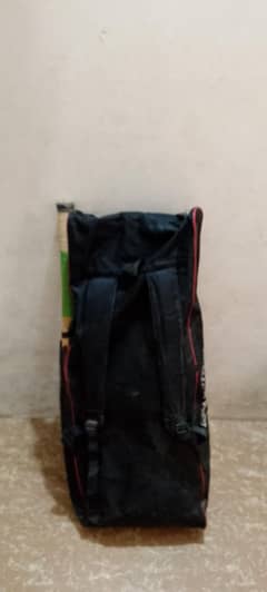 Left batsman hard ball kit
