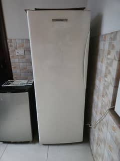 Vertical Freezer