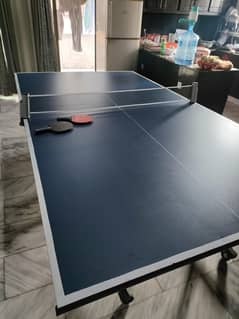 Table Tennis table and set