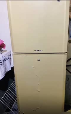 PEL Refrigerator used