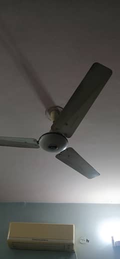 14 Ceiling Fans for sale in lahore (10 pak fans+2 Royal fans+2 Lahore