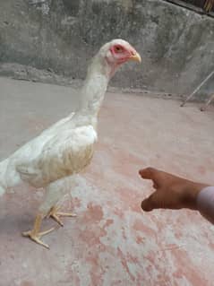 selling