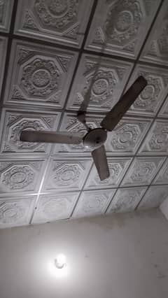 Ceilings Fan for sale