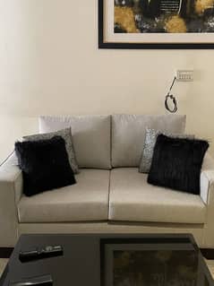 Brand new Sofa Cushions