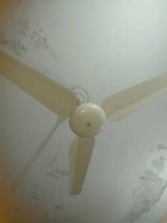 ceiling