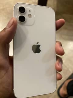 Iphone 12 256 Gb