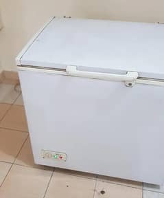 Deep Freezer Non inverter Excellent Cooling