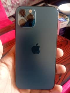 12 pro