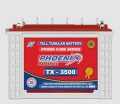 Phoenix Tall Tubler battery 1 year warranty