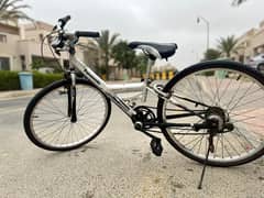 Japanese 24” cycle