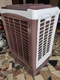 Euro Asia Air Cooler Copper Windings