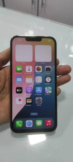 13 pro max