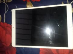 ipet pro 10.5inc