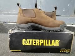 cat shoes