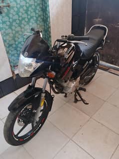 Ybr 125 brand new condition