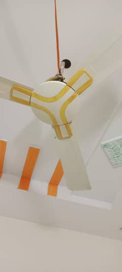 gfc celling fan