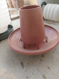 Chicken feeder and drinkers
