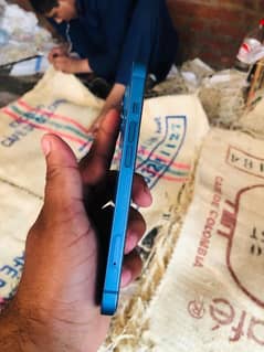 iphone 13 128gb PTA Approved