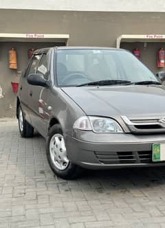 Suzuki cultus