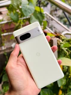 Google Pixel 7 5G [256gb]