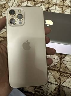 Iphone 12 pro max pta approved