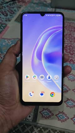 vivo