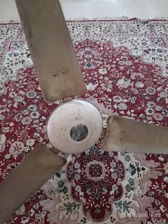 Ceiling Fan