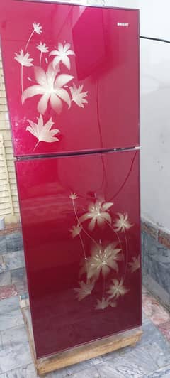 Orient Frige Saaf Condition