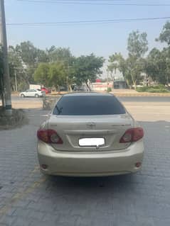 carollah altis 11moder new