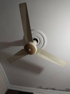 sufi fan pure copper Moter ky sth