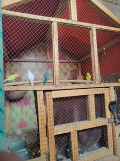 Bird cage | hens cage| pet cage|