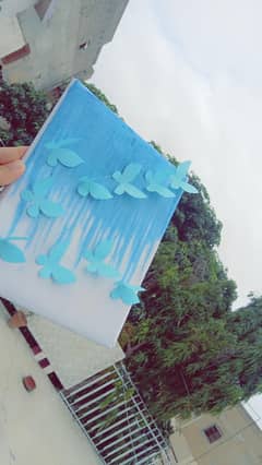 Butterflies