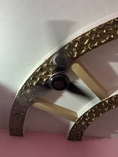 Ceiling Fan