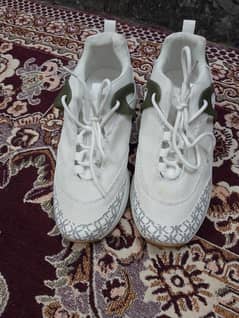 Shoes as Good as new (Size: 40 used very less)