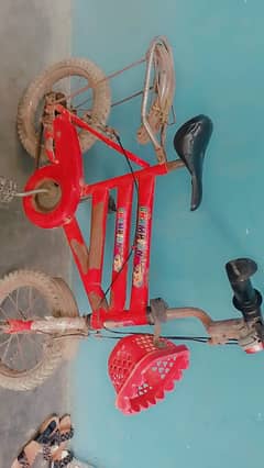 cycle
